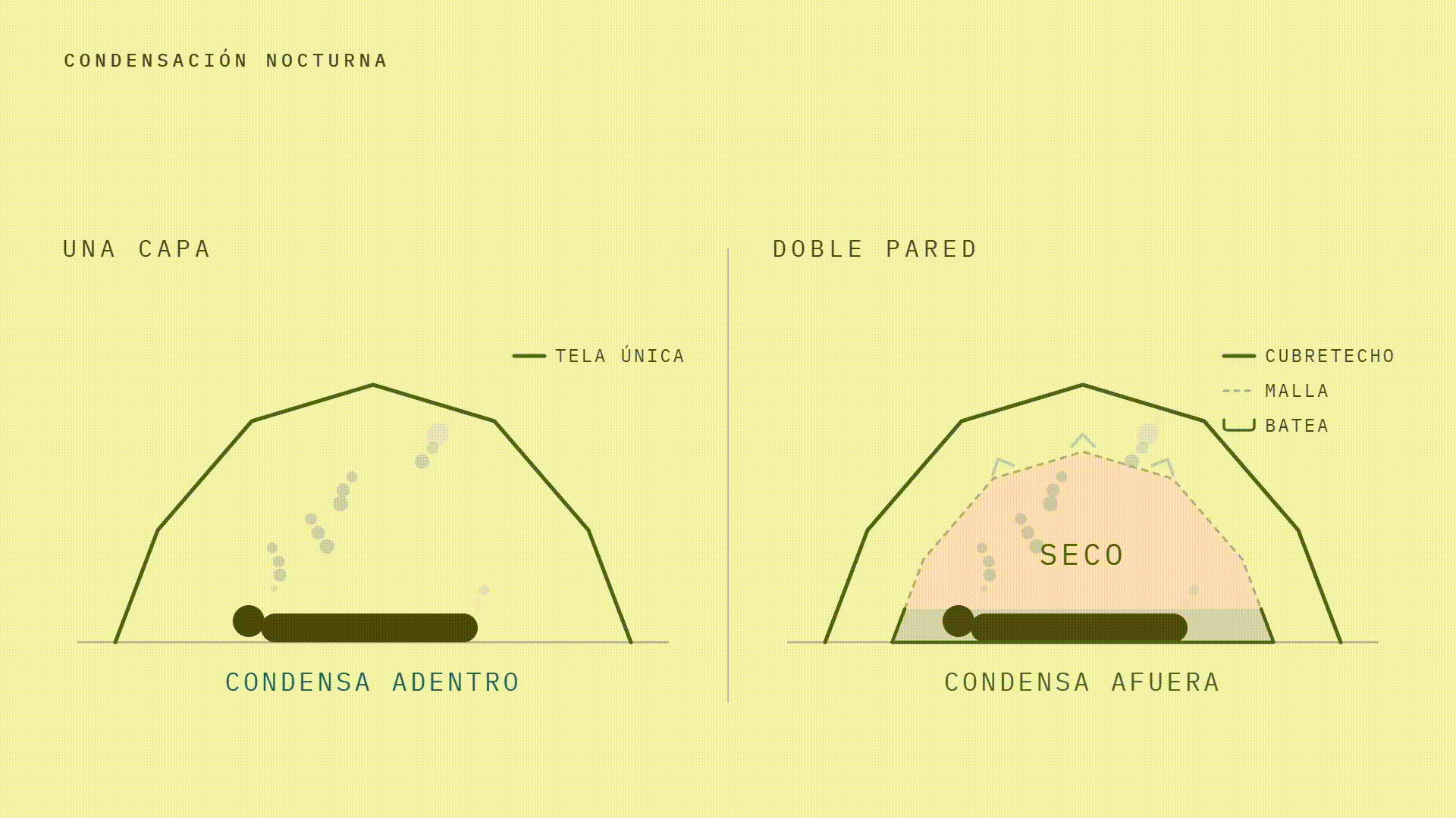 Condensacion Carpas